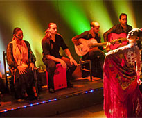 Flamencoshow på Palacio del Flamenco