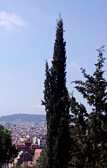 Park Guell Barcelona